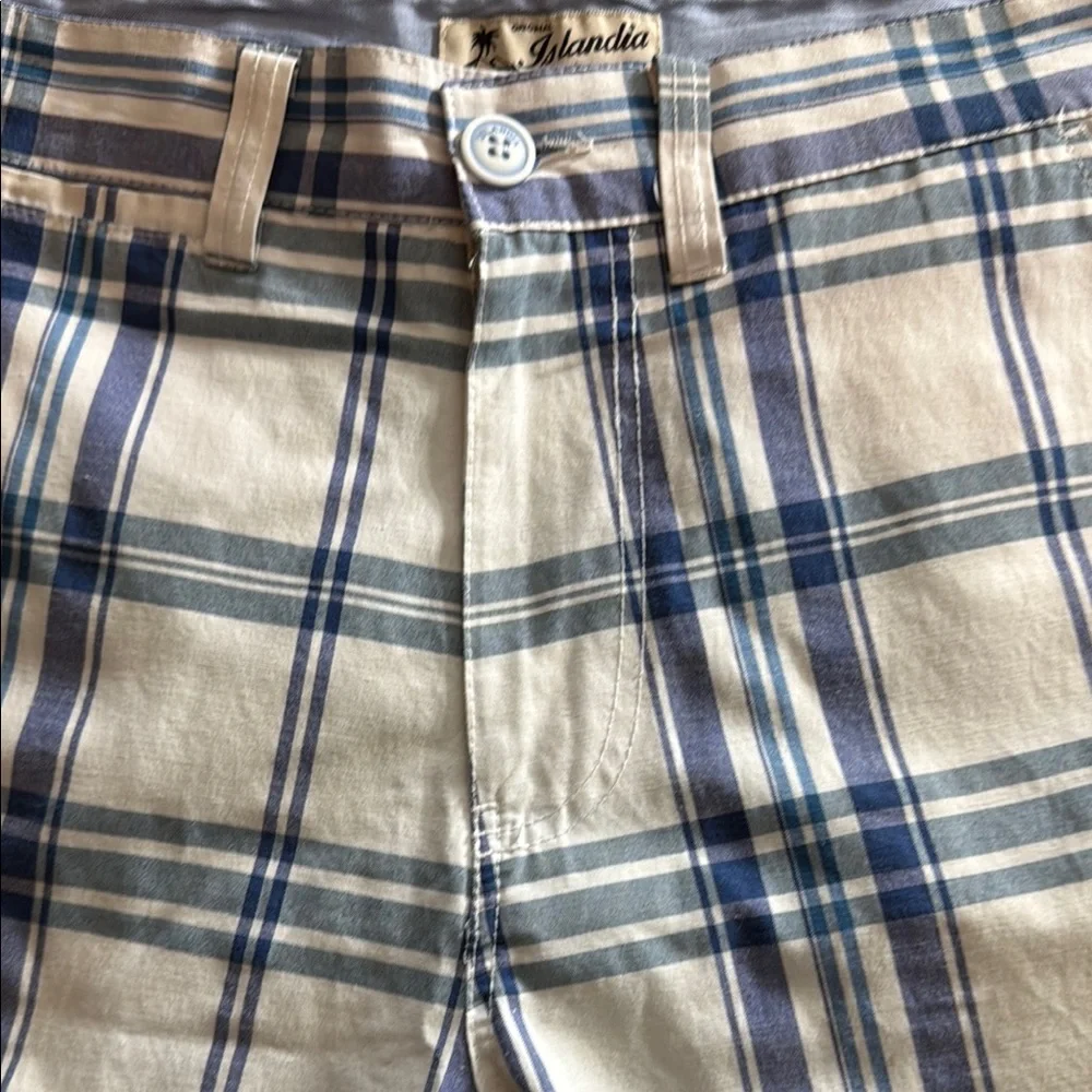 Islandia Clothing Co. Classic Blue and White Plaid Flat Front Shorts Size 32 - Picture 6 of 7